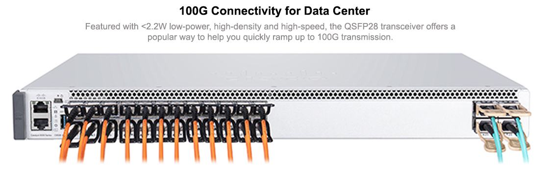 100G Connectivity for Data Center